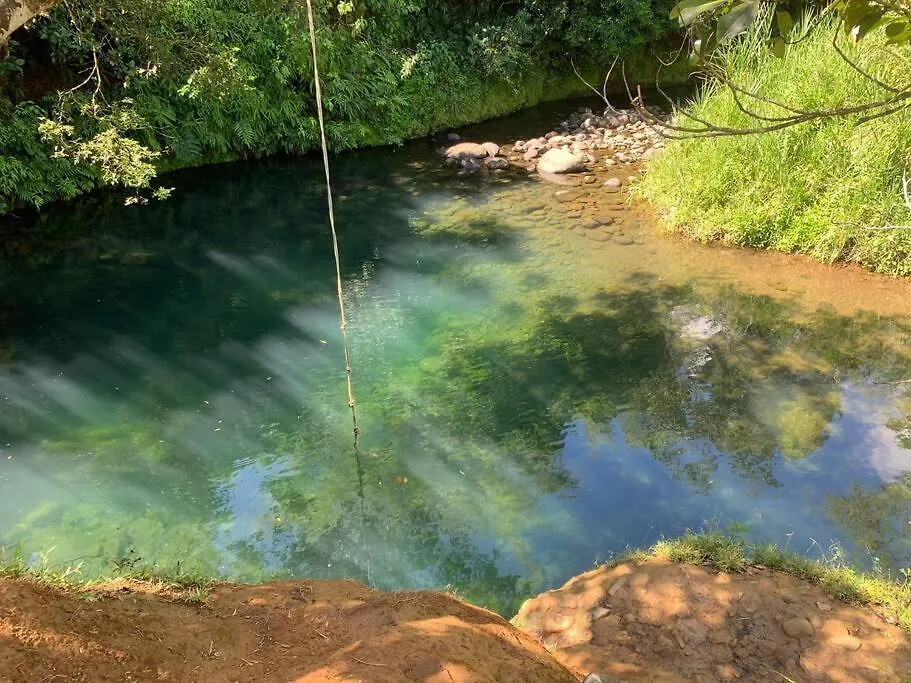 Le Meloi Cottage Chaleureux Avec Piscine Et Plage Bouillante Hébergement de vacances